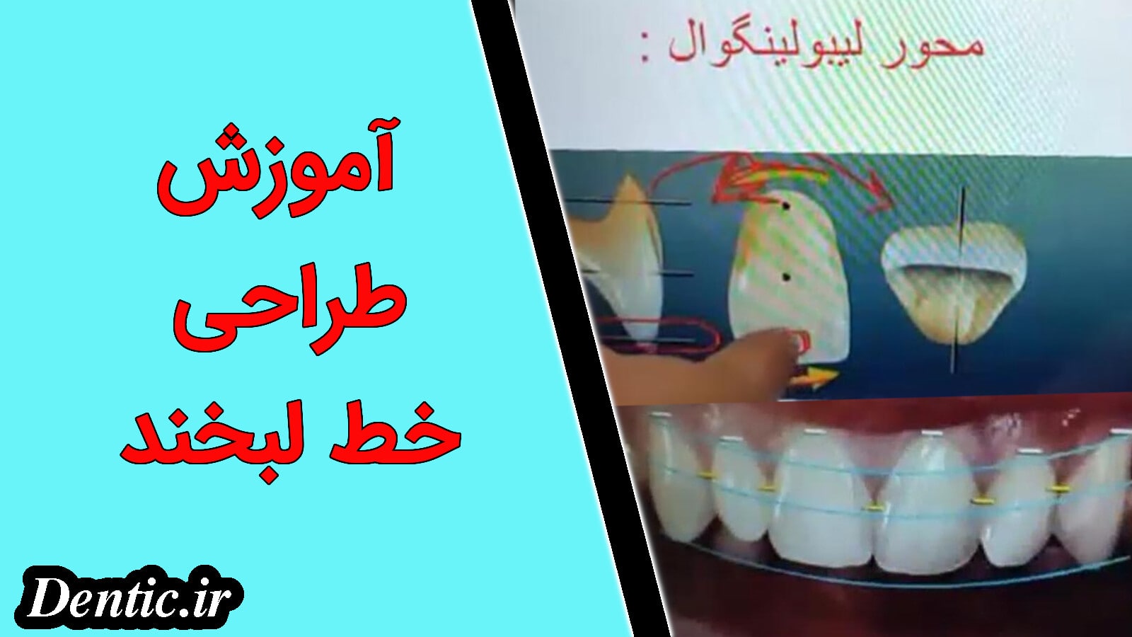 آموزش طراحی خط لبخند
